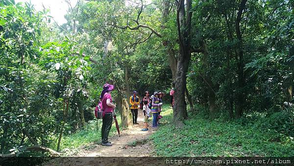 P_20170712_123254_vHDR_On.jpg P_20170712_123254_vHDR_On.jpg