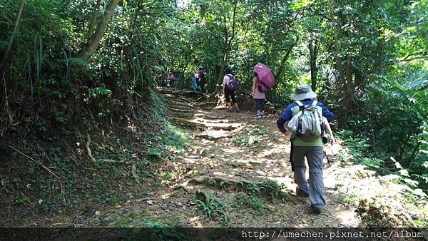 P_20170712_124044_vHDR_On.jpg P_20170712_124044_vHDR_On.jpg