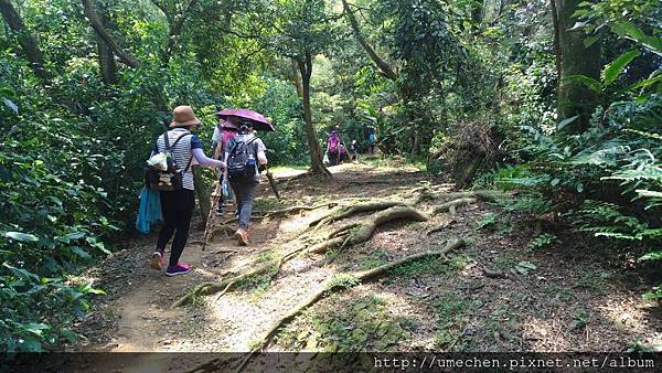 P_20170712_125716_vHDR_On.jpg P_20170712_125716_vHDR_On.jpg