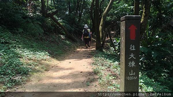 P_20170712_130337_vHDR_On.jpg P_20170712_130337_vHDR_On.jpg