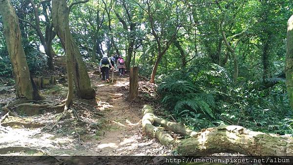 P_20170712_130413_vHDR_On.jpg P_20170712_130413_vHDR_On.jpg