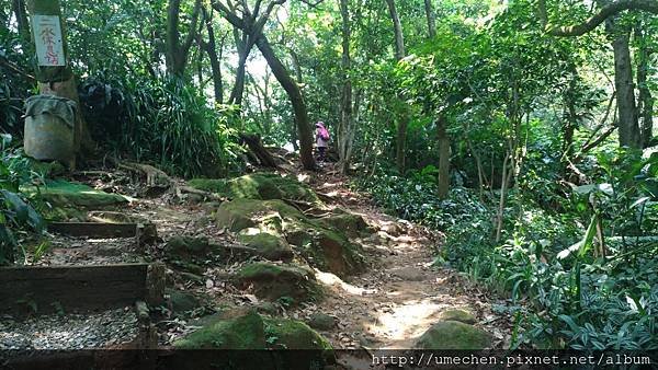 P_20170712_130615_vHDR_On.jpg P_20170712_130615_vHDR_On.jpg