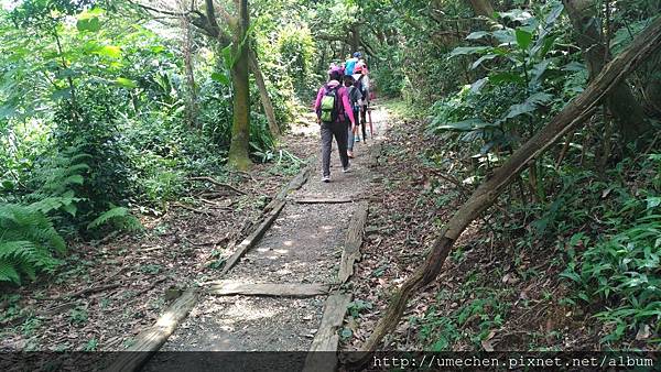 P_20170712_134109_vHDR_On.jpg P_20170712_134109_vHDR_On.jpg