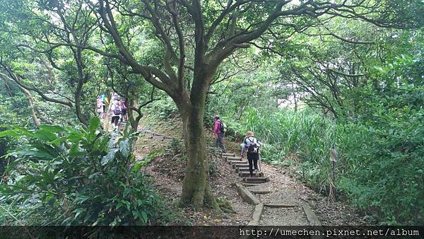 P_20170712_134152_vHDR_On.jpg P_20170712_134152_vHDR_On.jpg