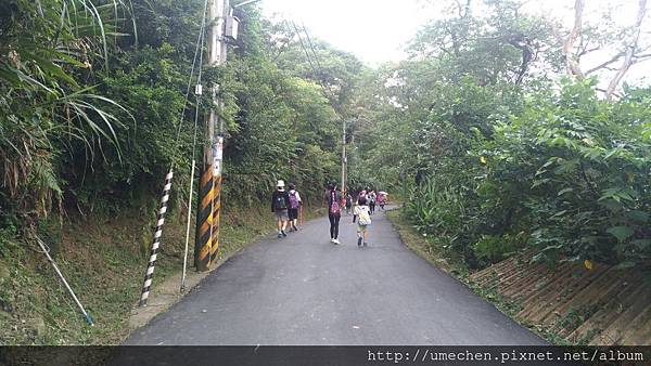 P_20170712_140357.jpg P_20170712_140357.jpg