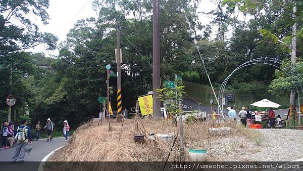 P_20170712_141436.jpg P_20170712_141436.jpg