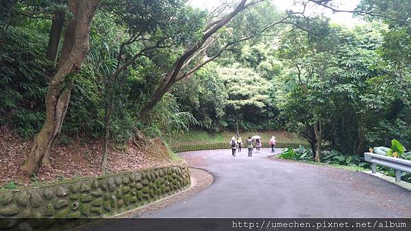 P_20170712_143401.jpg P_20170712_143401.jpg