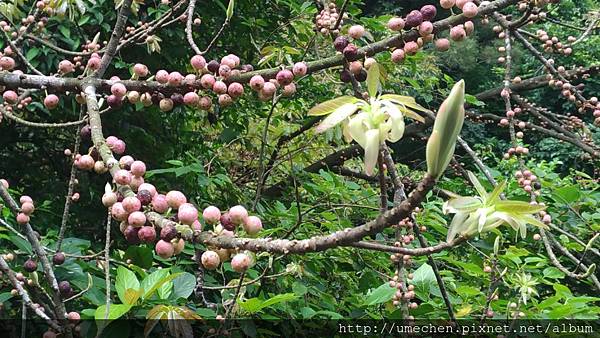 P_20170712_144710.jpg P_20170712_144710.jpg