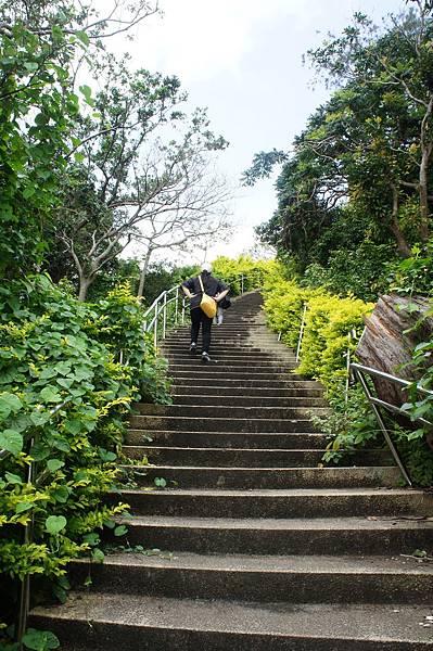 DSC01907.JPG DSC01907.JPG