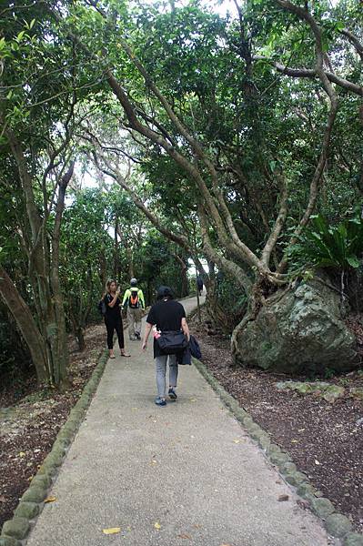 DSC01912.JPG DSC01912.JPG