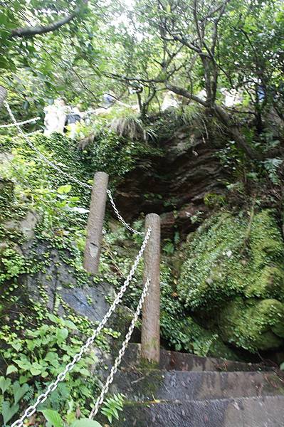 DSC01914.JPG DSC01914.JPG