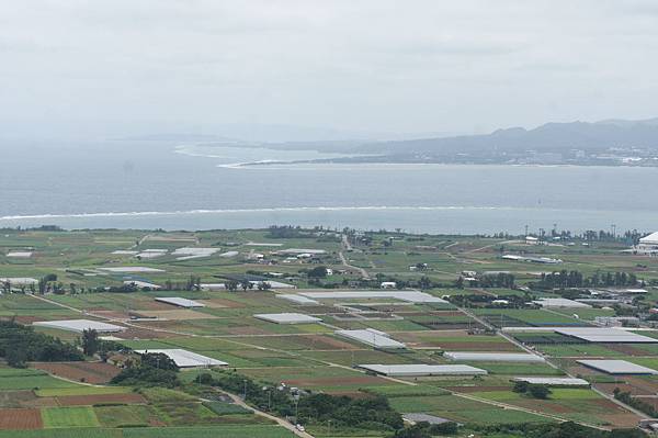 DSC01923.JPG DSC01923.JPG