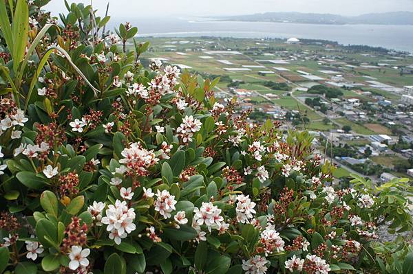 DSC01924.JPG DSC01924.JPG