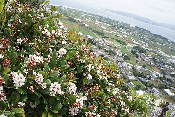 DSC01928.JPG DSC01928.JPG