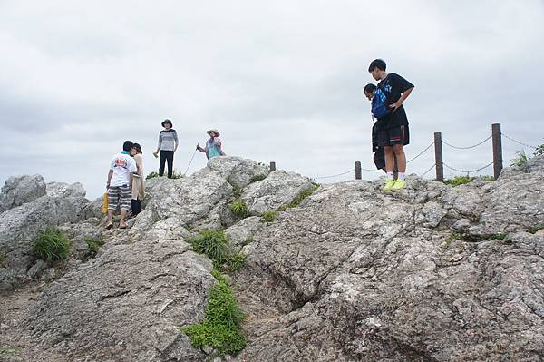 DSC01953.JPG DSC01953.JPG