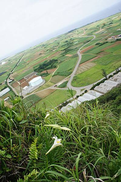 DSC01960.JPG DSC01960.JPG