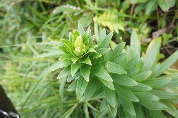 DSC01961.JPG DSC01961.JPG