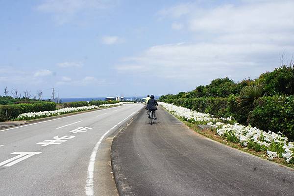 DSC01971.JPG DSC01971.JPG