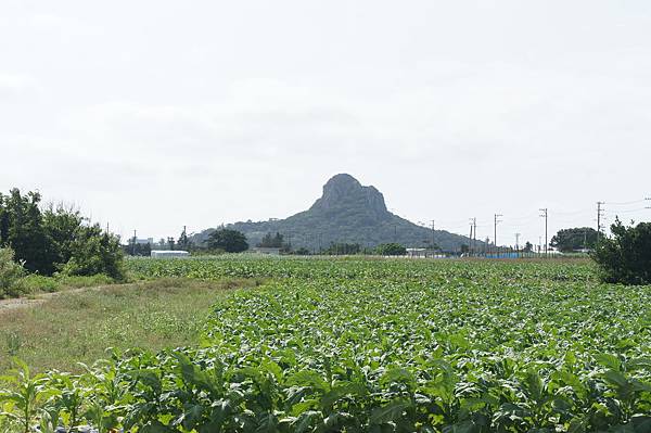 DSC01993.JPG DSC01993.JPG