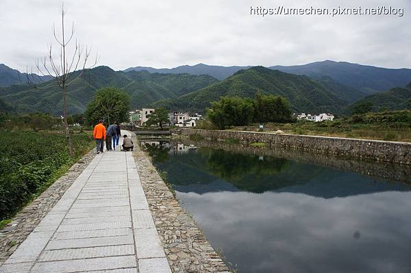 DSC04534.jpg DSC04534.jpg