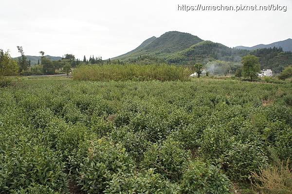 DSC04535.jpg DSC04535.jpg