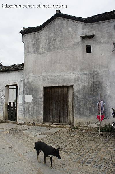 DSC04540.jpg DSC04540.jpg