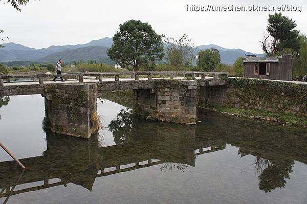 DSC04538.jpg DSC04538.jpg