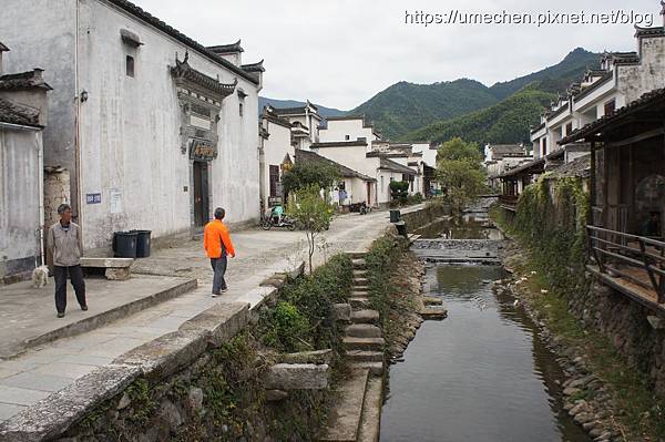 DSC04542.jpg DSC04542.jpg