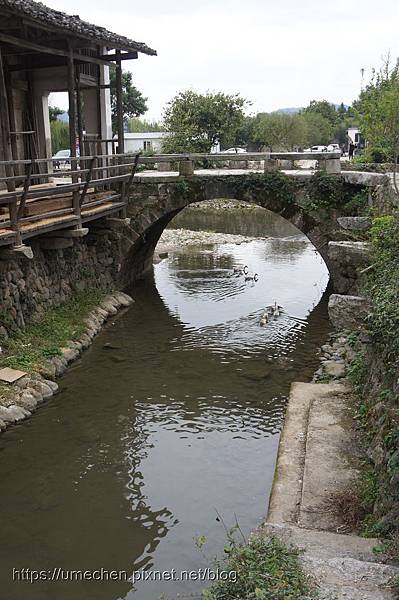 DSC04545.jpg DSC04545.jpg