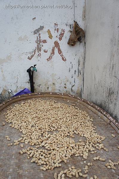 DSC04547.jpg DSC04547.jpg