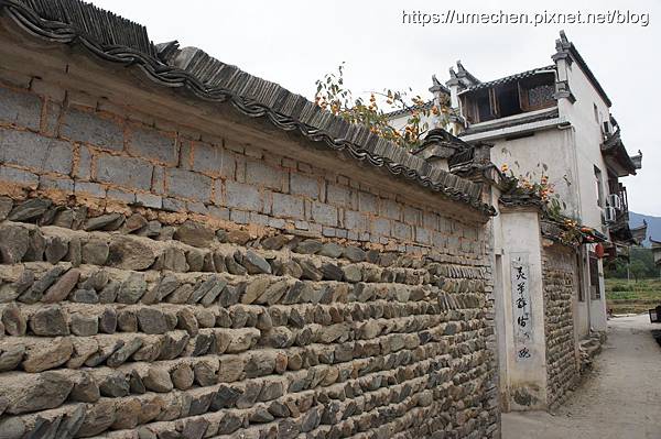 DSC04551.jpg DSC04551.jpg