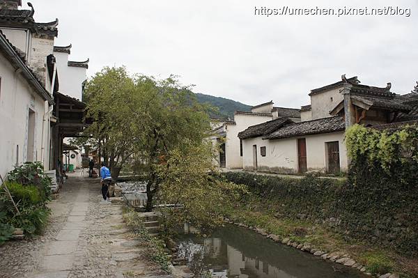 DSC04550.jpg DSC04550.jpg