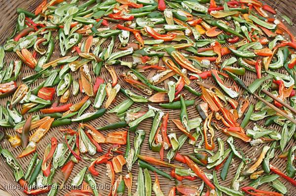 DSC04554.jpg DSC04554.jpg