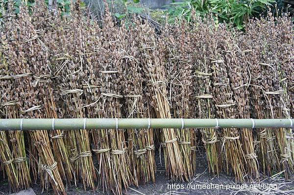 DSC04561.jpg DSC04561.jpg