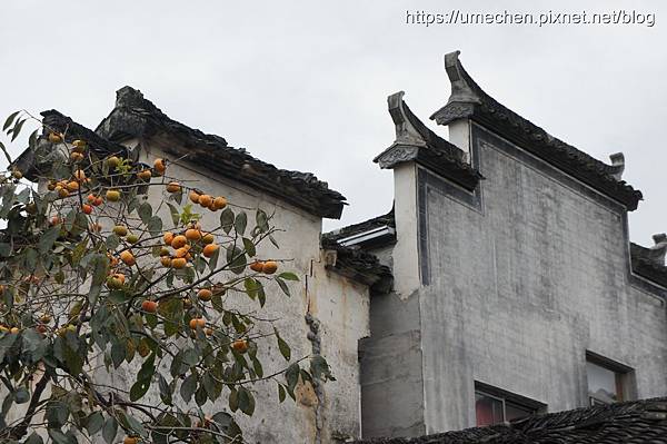 DSC04562.jpg DSC04562.jpg