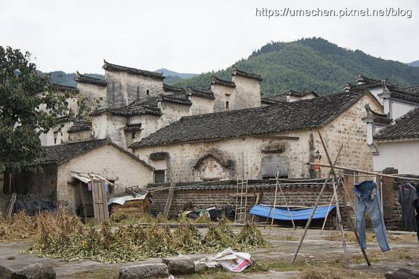 DSC04614.jpg DSC04614.jpg