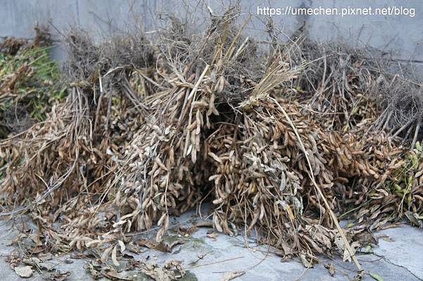 DSC04615.jpg DSC04615.jpg