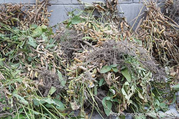 DSC04616.jpg DSC04616.jpg