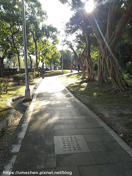 IMG_20191110_080316.jpg IMG_20191110_080316.jpg