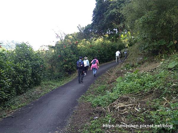 IMG_20191110_084706.jpg IMG_20191110_084706.jpg