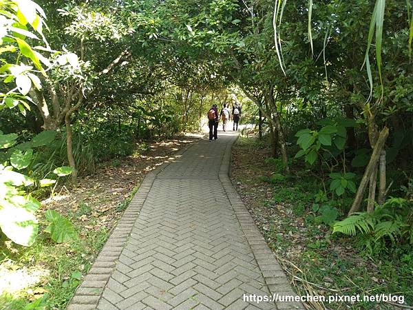 IMG_20191110_104244.jpg IMG_20191110_104244.jpg