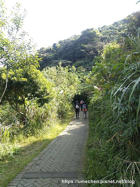 IMG_20191110_104411.jpg IMG_20191110_104411.jpg