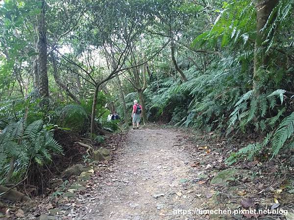 IMG_20191110_105321.jpg IMG_20191110_105321.jpg