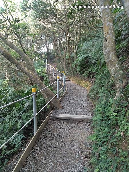 IMG_20191110_110121.jpg IMG_20191110_110121.jpg