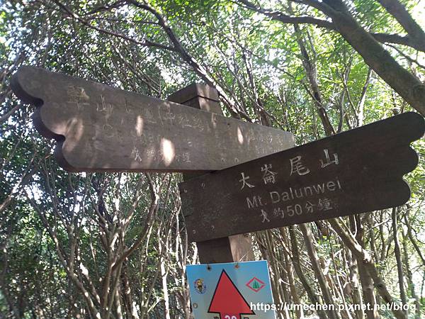 IMG_20191110_110452.jpg IMG_20191110_110452.jpg