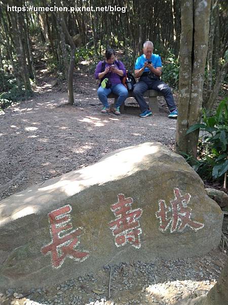 IMG_20191110_110526.jpg IMG_20191110_110526.jpg