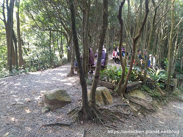 IMG_20191110_111411.jpg IMG_20191110_111411.jpg