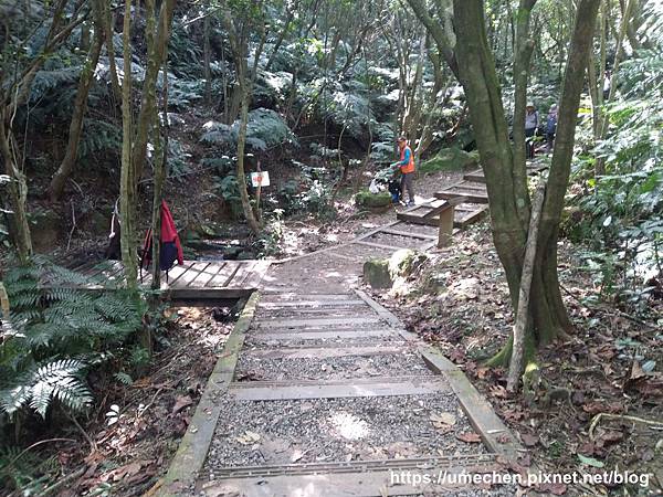 IMG_20191110_111730.jpg IMG_20191110_111730.jpg