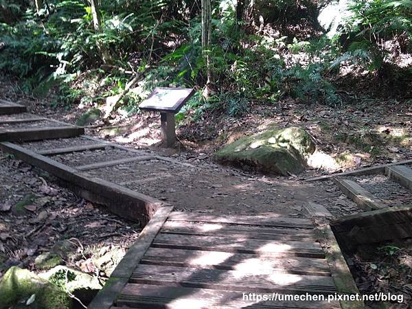 IMG_20191110_111823.jpg IMG_20191110_111823.jpg