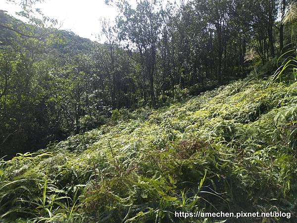 IMG_20191110_111546.jpg IMG_20191110_111546.jpg